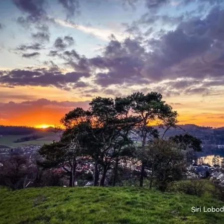 Lejlighed Diemelseeholiday Im Sauerland By Interhome