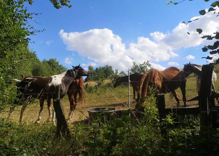 Diemelseeholiday Im Sauerland By Interhome Apartamento