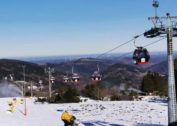 Diemelseeholiday Im Sauerland By Interhome *