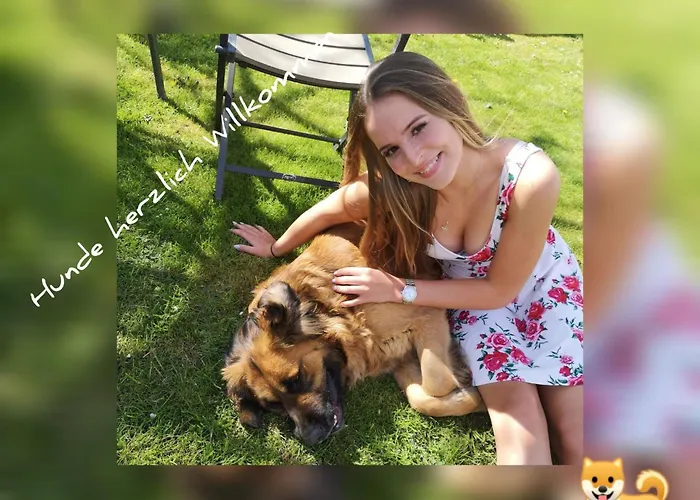 Diemelseeholiday Im Sauerland By Interhome Diemelsee