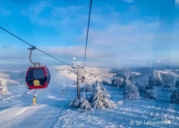 Diemelseeholiday Im Sauerland By Interhome Diemelsee